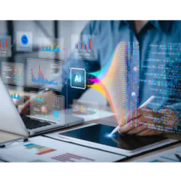 Bridge View Property Group Ltd